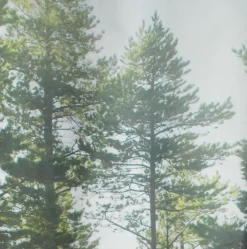 Badeforhæng AVESTA 150x200 fotoprint