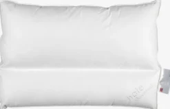 Fiberpude 50x70x15 Høie DOWNFEEL