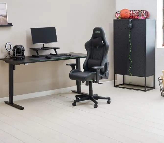 Gamer-stol TYPE Z RAZER ed.邃