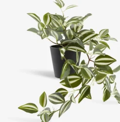 Kunstig plante ASGAR H24cm