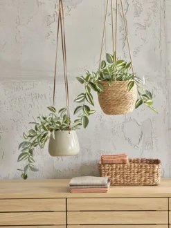 Kunstig plante ASGAR H24cm