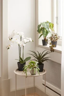 Kunstig plante MATINUS H62cm m/blomster