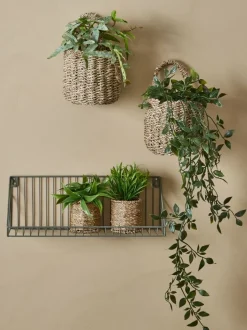 Kunstig plante OLIVER t/ophæng m/potte