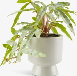 Kunstig plante OLSEN Ø9xH20cm m/potte