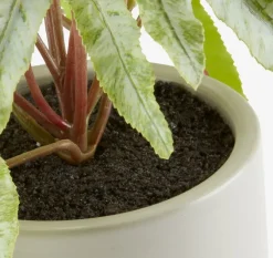 Kunstig plante OLSEN Ø9xH20cm m/potte