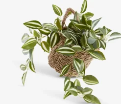 Kurv INGVER B14xLx14xH13cm t/ophængning natur