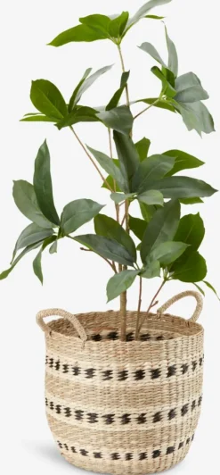 Kurv VIGIL Ø32xH27cm søgræs