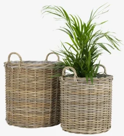 Plantekurv SANSEBIE Ø40/50 kubu natur 2 stk/sæt