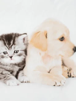 Sengetøj KAYA mikrofiber 140x200