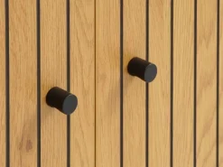 Skænk HEMDRUP 2 låger eg