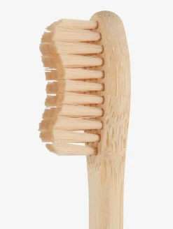 Tandbørste VIDJA 19cm Schima wallichi