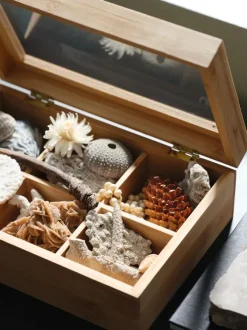 Tekasse STORM B23xL16xH8cm træ